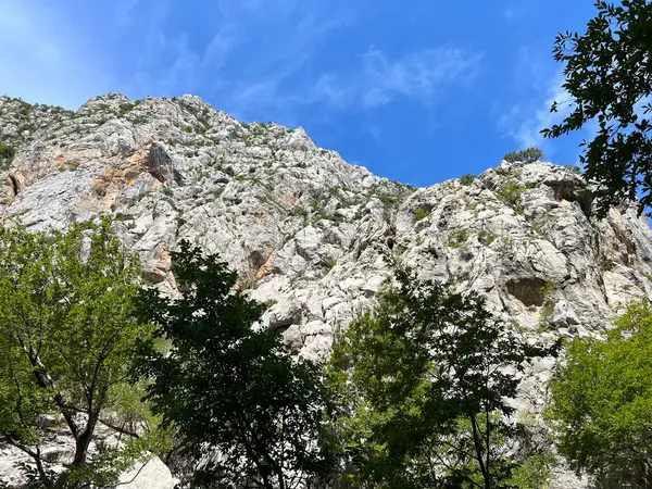 Velika Paklenica kanyonu, Starigrad (Pakistan Ulusal Parkı, Hırvatistan) - Kalksteinfelsen in der Schlucht Velika Paklenica, Starigrad (Nationalpark Paklenica, Kroatien) - Vapnenacke stijene u Velikoj Paklenici, Starigrad (Hrvatska))