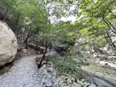 Velika Paklenica 'nın kurumuş nehir yatağı, Starigrad (Pakistan Ulusal Parkı, Hırvatistan) - Ausgetrocknett des Wildbachs Velika Paklenica, Starigrad (Nationalpark Paklenica, Kroatien) - Suho korito bujicnog potoka Paklenica, Hrvatska