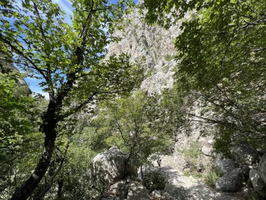 Velika Paklenica kanyonu, Starigrad (Paklenica Ulusal Parkı, Hırvatistan) - Bergsteiger in der Schlucht Velika Paklenica, Starigrad (Nationalpark Paklenica) - Planinarske staze u kanjonu Velike Paklenice