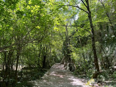 Velika Paklenica kanyonu, Starigrad (Paklenica Ulusal Parkı, Hırvatistan) - Bergsteiger in der Schlucht Velika Paklenica, Starigrad (Nationalpark Paklenica) - Planinarske staze u kanjonu Velike Paklenice