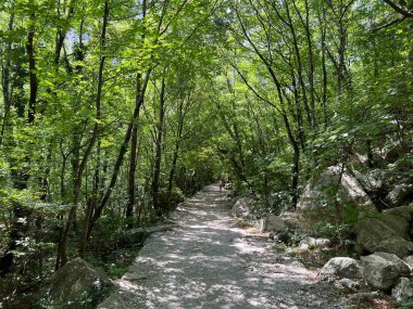 Velika Paklenica kanyonu, Starigrad (Paklenica Ulusal Parkı, Hırvatistan) - Bergsteiger in der Schlucht Velika Paklenica, Starigrad (Nationalpark Paklenica) - Planinarske staze u kanjonu Velike Paklenice