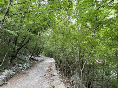Velika Paklenica kanyonu, Starigrad (Paklenica Ulusal Parkı, Hırvatistan) - Bergsteiger in der Schlucht Velika Paklenica, Starigrad (Nationalpark Paklenica) - Planinarske staze u kanjonu Velike Paklenice