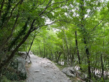 Velika Paklenica kanyonu, Starigrad (Paklenica Ulusal Parkı, Hırvatistan) - Bergsteiger in der Schlucht Velika Paklenica, Starigrad (Nationalpark Paklenica) - Planinarske staze u kanjonu Velike Paklenice