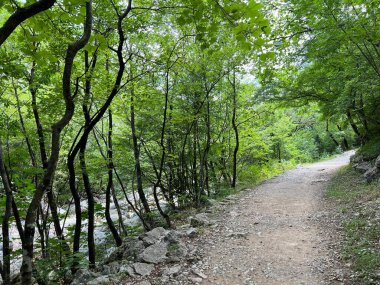 Velika Paklenica kanyonu, Starigrad (Paklenica Ulusal Parkı, Hırvatistan) - Bergsteiger in der Schlucht Velika Paklenica, Starigrad (Nationalpark Paklenica) - Planinarske staze u kanjonu Velike Paklenice