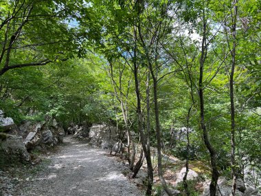 Velika Paklenica kanyonu, Starigrad (Paklenica Ulusal Parkı, Hırvatistan) - Bergsteiger in der Schlucht Velika Paklenica, Starigrad (Nationalpark Paklenica) - Planinarske staze u kanjonu Velike Paklenice