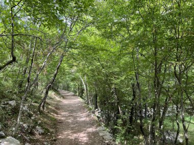 Velika Paklenica kanyonu, Starigrad (Paklenica Ulusal Parkı, Hırvatistan) - Bergsteiger in der Schlucht Velika Paklenica, Starigrad (Nationalpark Paklenica) - Planinarske staze u kanjonu Velike Paklenice