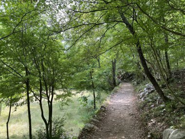 Velika Paklenica kanyonu, Starigrad (Paklenica Ulusal Parkı, Hırvatistan) - Bergsteiger in der Schlucht Velika Paklenica, Starigrad (Nationalpark Paklenica) - Planinarske staze u kanjonu Velike Paklenice