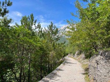 Velika Paklenica kanyonu, Starigrad (Paklenica Ulusal Parkı, Hırvatistan) - Bergsteiger in der Schlucht Velika Paklenica, Starigrad (Nationalpark Paklenica) - Planinarske staze u kanjonu Velike Paklenice