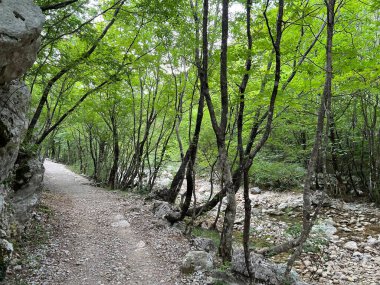 Velika Paklenica kanyonu, Starigrad (Paklenica Ulusal Parkı, Hırvatistan) - Bergsteiger in der Schlucht Velika Paklenica, Starigrad (Nationalpark Paklenica) - Planinarske staze u kanjonu Velike Paklenice