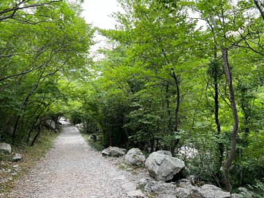 Velika Paklenica kanyonu, Starigrad (Paklenica Ulusal Parkı, Hırvatistan) - Bergsteiger in der Schlucht Velika Paklenica, Starigrad (Nationalpark Paklenica) - Planinarske staze u kanjonu Velike Paklenice