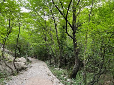 Velika Paklenica kanyonu, Starigrad (Paklenica Ulusal Parkı, Hırvatistan) - Bergsteiger in der Schlucht Velika Paklenica, Starigrad (Nationalpark Paklenica) - Planinarske staze u kanjonu Velike Paklenice