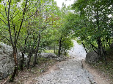 Velika Paklenica kanyonu, Starigrad (Paklenica Ulusal Parkı, Hırvatistan) - Bergsteiger in der Schlucht Velika Paklenica, Starigrad (Nationalpark Paklenica) - Planinarske staze u kanjonu Velike Paklenice