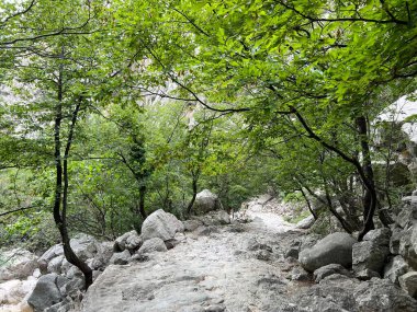 Velika Paklenica kanyonu, Starigrad (Paklenica Ulusal Parkı, Hırvatistan) - Bergsteiger in der Schlucht Velika Paklenica, Starigrad (Nationalpark Paklenica) - Planinarske staze u kanjonu Velike Paklenice