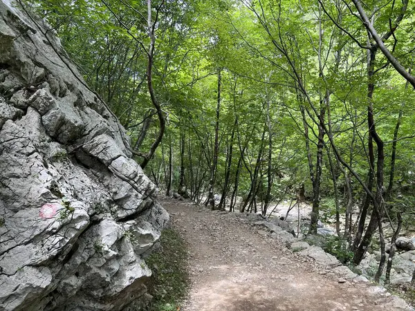 Velika Paklenica kanyonu, Starigrad (Paklenica Ulusal Parkı, Hırvatistan) - Bergsteiger in der Schlucht Velika Paklenica, Starigrad (Nationalpark Paklenica) - Planinarske staze u kanjonu Velike Paklenice