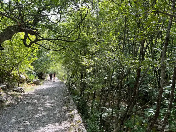 Velika Paklenica kanyonu, Starigrad (Paklenica Ulusal Parkı, Hırvatistan) - Bergsteiger in der Schlucht Velika Paklenica, Starigrad (Nationalpark Paklenica) - Planinarske staze u kanjonu Velike Paklenice