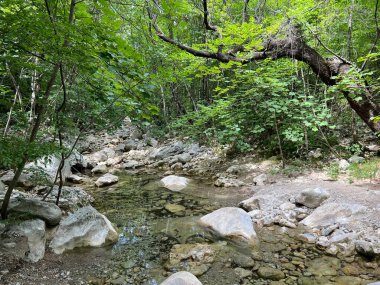 Torrential stream Velika Paklenica, Starigrad (Paklenica, Hırvatistan) - Wildbach Velika Paklenica, Starigrad (Nationalpark Paklenica, Kroatien) - Bujicni potok Velika Paklenica, Starigrad (Nacionalni parkı Paklenica, Hrvatska)