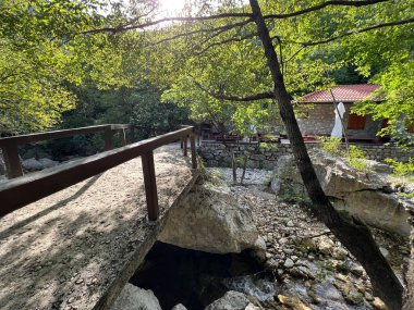 Torrential stream Velika Paklenica, Starigrad (Paklenica, Hırvatistan) - Wildbach Velika Paklenica, Starigrad (Nationalpark Paklenica, Kroatien) - Bujicni potok Velika Paklenica, Starigrad (Nacionalni parkı Paklenica, Hrvatska)
