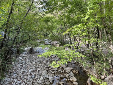 Torrential stream Velika Paklenica, Starigrad (Paklenica, Hırvatistan) - Wildbach Velika Paklenica, Starigrad (Nationalpark Paklenica, Kroatien) - Bujicni potok Velika Paklenica, Starigrad (Nacionalni parkı Paklenica, Hrvatska)