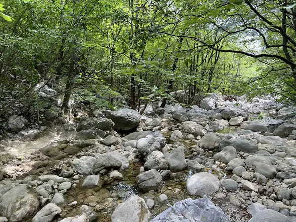 Torrential stream Velika Paklenica, Starigrad (Paklenica, Hırvatistan) - Wildbach Velika Paklenica, Starigrad (Nationalpark Paklenica, Kroatien) - Bujicni potok Velika Paklenica, Starigrad (Nacionalni parkı Paklenica, Hrvatska)