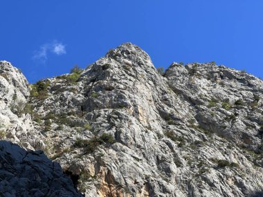 Mala Paklenica kanyonu, Seline (Paklenica Ulusal Parkı, Hırvatistan) - Kalksteinfelsen in der Schlucht Mala Paklenica, Seline (Nationalpark Paklenica, Kroatien) - Vapnenacke stijene u kanjonu Erkek Paklenice, Seline (Hrvatska)