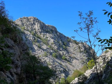 Mala Paklenica kanyonu, Seline (Paklenica Ulusal Parkı, Hırvatistan) - Kalksteinfelsen in der Schlucht Mala Paklenica, Seline (Nationalpark Paklenica, Kroatien) - Vapnenacke stijene u kanjonu Erkek Paklenice, Seline (Hrvatska)