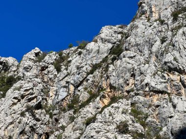 Mala Paklenica kanyonu, Seline (Paklenica Ulusal Parkı, Hırvatistan) - Kalksteinfelsen in der Schlucht Mala Paklenica, Seline (Nationalpark Paklenica, Kroatien) - Vapnenacke stijene u kanjonu Erkek Paklenice, Seline (Hrvatska)