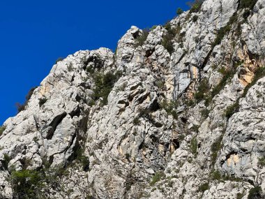 Mala Paklenica kanyonu, Seline (Paklenica Ulusal Parkı, Hırvatistan) - Kalksteinfelsen in der Schlucht Mala Paklenica, Seline (Nationalpark Paklenica, Kroatien) - Vapnenacke stijene u kanjonu Erkek Paklenice, Seline (Hrvatska)