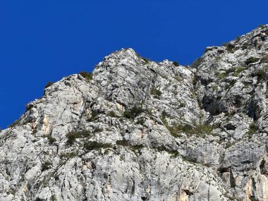 Mala Paklenica kanyonu, Seline (Paklenica Ulusal Parkı, Hırvatistan) - Kalksteinfelsen in der Schlucht Mala Paklenica, Seline (Nationalpark Paklenica, Kroatien) - Vapnenacke stijene u kanjonu Erkek Paklenice, Seline (Hrvatska)