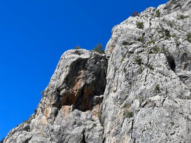 Mala Paklenica kanyonu, Seline (Paklenica Ulusal Parkı, Hırvatistan) - Kalksteinfelsen in der Schlucht Mala Paklenica, Seline (Nationalpark Paklenica, Kroatien) - Vapnenacke stijene u kanjonu Erkek Paklenice, Seline (Hrvatska)