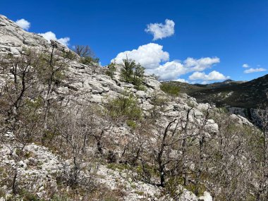 Mala Paklenica kanyonu, Seline (Paklenica Ulusal Parkı, Hırvatistan) - Kalksteinfelsen in der Schlucht Mala Paklenica, Seline (Nationalpark Paklenica, Kroatien) - Vapnenacke stijene u kanjonu Erkek Paklenice, Seline (Hrvatska)