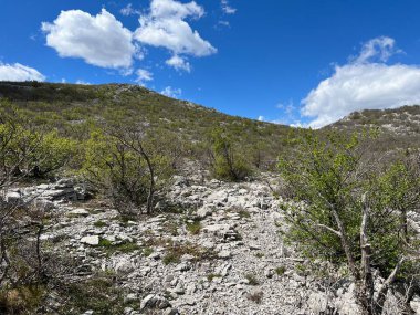 Mala Paklenica Kanyonu, Seline (Paklenica Ulusal Parkı, Hırvatistan) - Mischwald an den Hngen der Schlucht Mala Paklenica, Seline (Nationalpark Paklenica, Kroatien) - Mjesovita suma na obroncima kanjona Erkek Paklenice