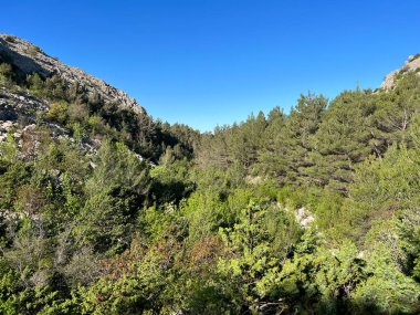 Mala Paklenica Kanyonu, Seline (Paklenica Ulusal Parkı, Hırvatistan) - Mischwald an den Hngen der Schlucht Mala Paklenica, Seline (Nationalpark Paklenica, Kroatien) - Mjesovita suma na obroncima kanjona Erkek Paklenice