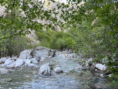 Torrential stream Mala Paklenica, Seline (Paklenica Ulusal Parkı, Hırvatistan) - Wildbach Mala Paklenica, Seline (Nationalpark, Kroatien) - Bujicni potok Mala Paklenica, Seline (Nacionalni parkı Paklenica, Hrvatska)