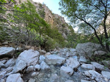 Torrential stream Mala Paklenica, Seline (Paklenica Ulusal Parkı, Hırvatistan) - Wildbach Mala Paklenica, Seline (Nationalpark, Kroatien) - Bujicni potok Mala Paklenica, Seline (Nacionalni parkı Paklenica, Hrvatska)