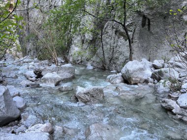 Torrential stream Mala Paklenica, Seline (Paklenica Ulusal Parkı, Hırvatistan) - Wildbach Mala Paklenica, Seline (Nationalpark, Kroatien) - Bujicni potok Mala Paklenica, Seline (Nacionalni parkı Paklenica, Hrvatska)