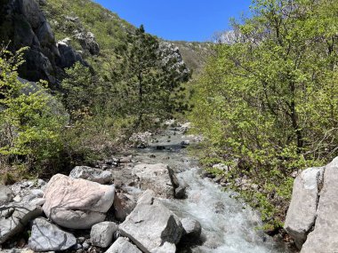 Torrential stream Mala Paklenica, Seline (Paklenica Ulusal Parkı, Hırvatistan) - Wildbach Mala Paklenica, Seline (Nationalpark, Kroatien) - Bujicni potok Mala Paklenica, Seline (Nacionalni parkı Paklenica, Hrvatska)