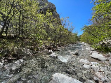 Torrential stream Mala Paklenica, Seline (Paklenica Ulusal Parkı, Hırvatistan) - Wildbach Mala Paklenica, Seline (Nationalpark, Kroatien) - Bujicni potok Mala Paklenica, Seline (Nacionalni parkı Paklenica, Hrvatska)