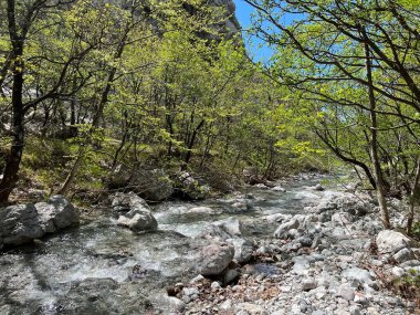 Torrential stream Mala Paklenica, Seline (Paklenica Ulusal Parkı, Hırvatistan) - Wildbach Mala Paklenica, Seline (Nationalpark, Kroatien) - Bujicni potok Mala Paklenica, Seline (Nacionalni parkı Paklenica, Hrvatska)