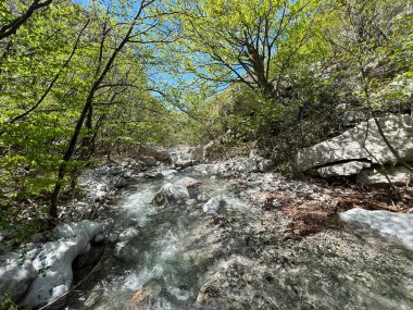 Torrential stream Mala Paklenica, Seline (Paklenica Ulusal Parkı, Hırvatistan) - Wildbach Mala Paklenica, Seline (Nationalpark, Kroatien) - Bujicni potok Mala Paklenica, Seline (Nacionalni parkı Paklenica, Hrvatska)