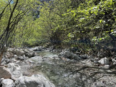 Torrential stream Mala Paklenica, Seline (Paklenica Ulusal Parkı, Hırvatistan) - Wildbach Mala Paklenica, Seline (Nationalpark, Kroatien) - Bujicni potok Mala Paklenica, Seline (Nacionalni parkı Paklenica, Hrvatska)