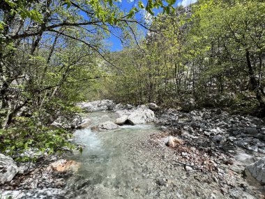 Torrential stream Mala Paklenica, Seline (Paklenica Ulusal Parkı, Hırvatistan) - Wildbach Mala Paklenica, Seline (Nationalpark, Kroatien) - Bujicni potok Mala Paklenica, Seline (Nacionalni parkı Paklenica, Hrvatska)