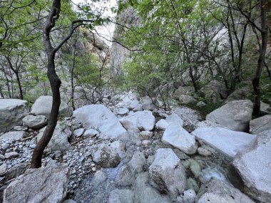 Mala Paklenica Kanyonu, Seline (Paklenica Ulusal Parkı, Hırvatistan) - Die Schlucht von Mala Paklenica, Seline (Nationalpark, Kroatien) - Kanjon Erkek Paklenice (Nacionalni parkı Paklenica, Hrvatska)