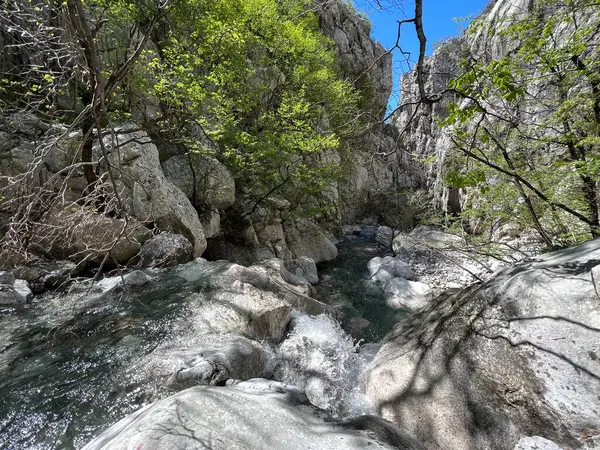 Mala Paklenica Kanyonu, Seline (Paklenica Ulusal Parkı, Hırvatistan) - Die Schlucht von Mala Paklenica, Seline (Nationalpark, Kroatien) - Kanjon Erkek Paklenice (Nacionalni parkı Paklenica, Hrvatska)