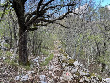 Velebit ve Pakistan Ulusal Parkı 'nda (Starigrad, Hırvatistan) dağcılık yolları - Bergsteigerwege auf dem Velebit und im Nationalpark Paklenica (Starigrad, Kroatien) - Planinarske staze na Velebitu u u nacionalnom parku Paklenica (Hrvatska)