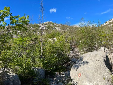 Velebit ve Pakistan Ulusal Parkı 'nda (Starigrad, Hırvatistan) dağcılık yolları - Bergsteigerwege auf dem Velebit und im Nationalpark Paklenica (Starigrad, Kroatien) - Planinarske staze na Velebitu u u nacionalnom parku Paklenica (Hrvatska)