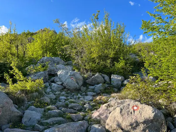 Velebit ve Pakistan Ulusal Parkı 'nda (Starigrad, Hırvatistan) dağcılık yolları - Bergsteigerwege auf dem Velebit und im Nationalpark Paklenica (Starigrad, Kroatien) - Planinarske staze na Velebitu u u nacionalnom parku Paklenica (Hrvatska)