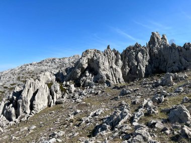 Tulove 'un Rocky sırtı veya Tulovice' nin karst dağı zirvesi - Velebit Doğa Parkı, Hırvatistan (Stjenoviti greben Tulove Grede ili krski planinski vrh Tulovice - Park Velebit, Hrvatska)