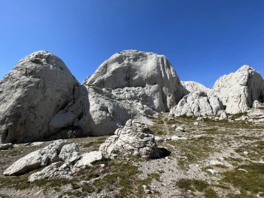 Tulove 'un Rocky sırtı veya Tulovice' nin karst dağı zirvesi - Velebit Doğa Parkı, Hırvatistan (Stjenoviti greben Tulove Grede ili krski planinski vrh Tulovice - Park Velebit, Hrvatska)