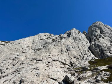 Tulove 'un Rocky sırtı veya Tulovice' nin karst dağı zirvesi - Velebit Doğa Parkı, Hırvatistan (Stjenoviti greben Tulove Grede ili krski planinski vrh Tulovice - Park Velebit, Hrvatska)