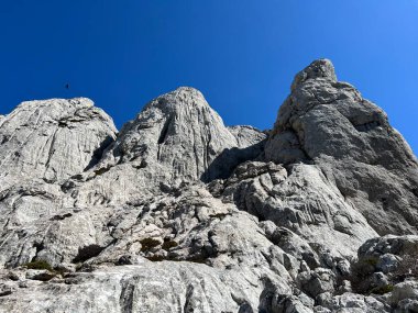 Tulove 'un Rocky sırtı veya Tulovice' nin karst dağı zirvesi - Velebit Doğa Parkı, Hırvatistan (Stjenoviti greben Tulove Grede ili krski planinski vrh Tulovice - Park Velebit, Hrvatska)